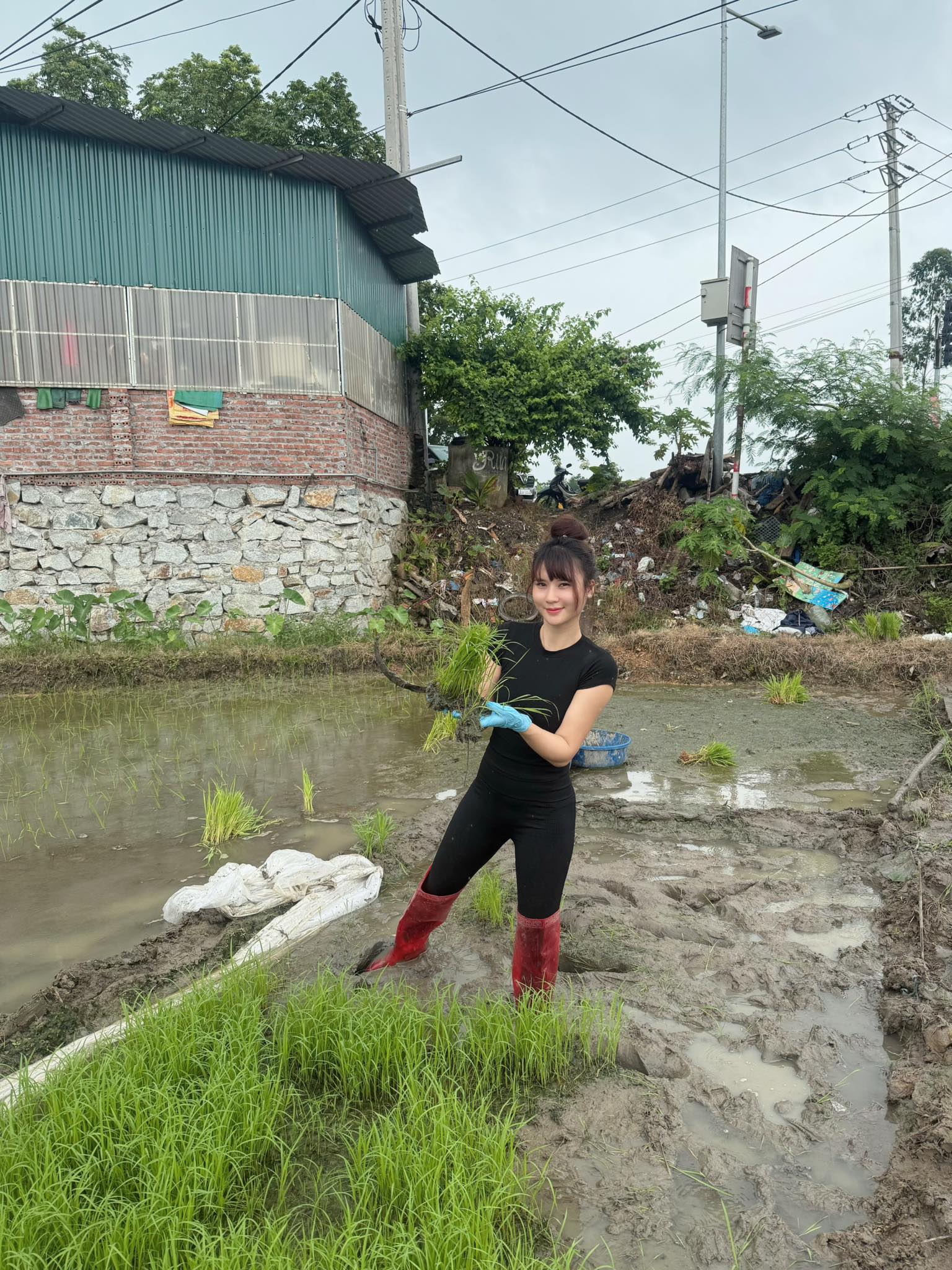 Cô gái xinh đẹp bốc vác trên thùng xe tải 30 tấn: Hé lộ thân phận phía sau- Ảnh 6.