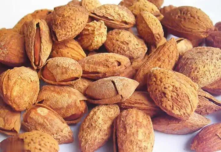 4 loại hạt có thể chứa độc tố aflatoxin "phá gan" cực mạnh- Ảnh 2.
