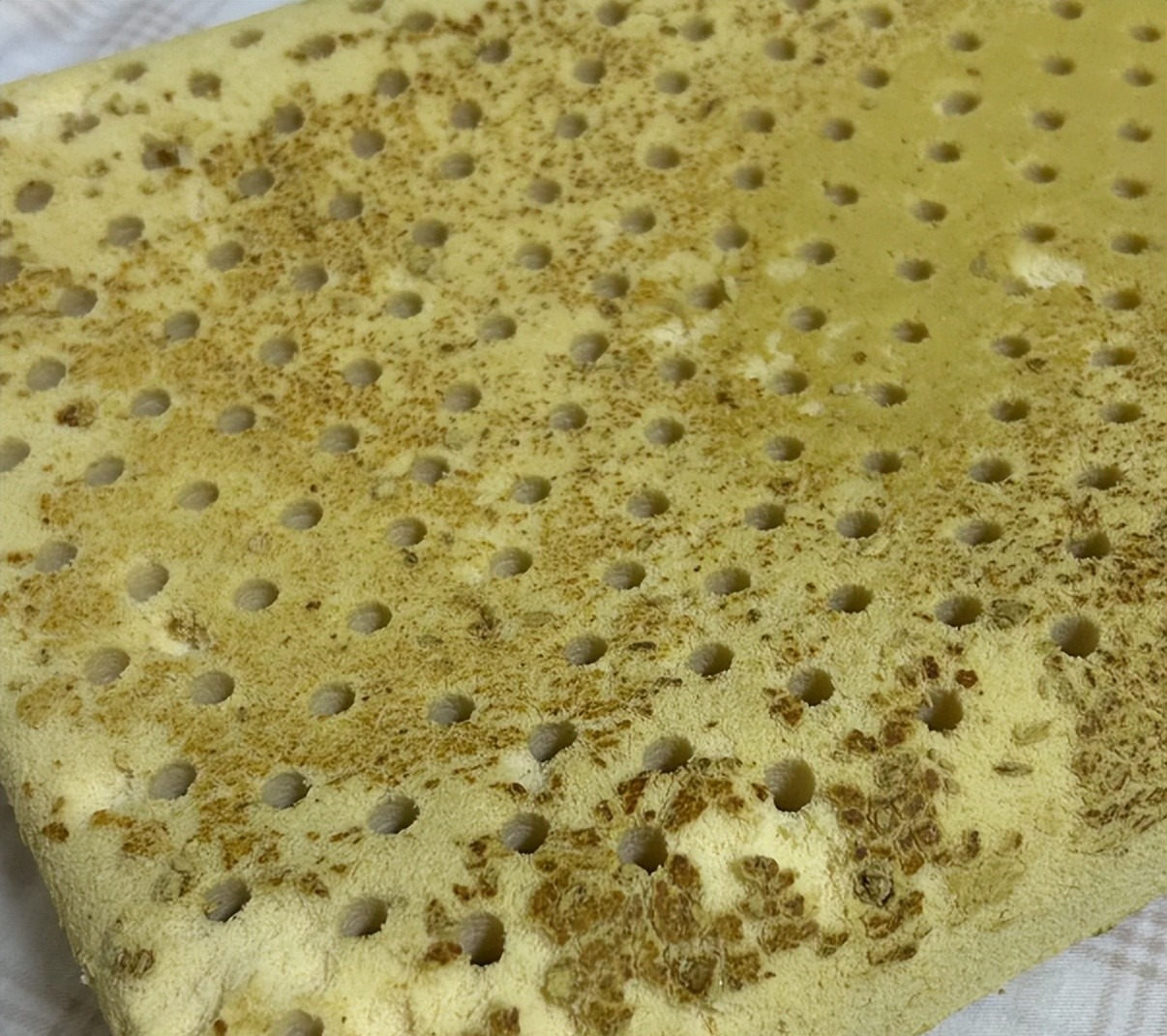 6 thứ trong nhà nên VỨT sớm, càng để lâu càng rước hoạ vào người- Ảnh 6. 6 thứ trong nhà nên VỨT sớm, càng để lâu càng rước hoạ vào người- Ảnh 6.