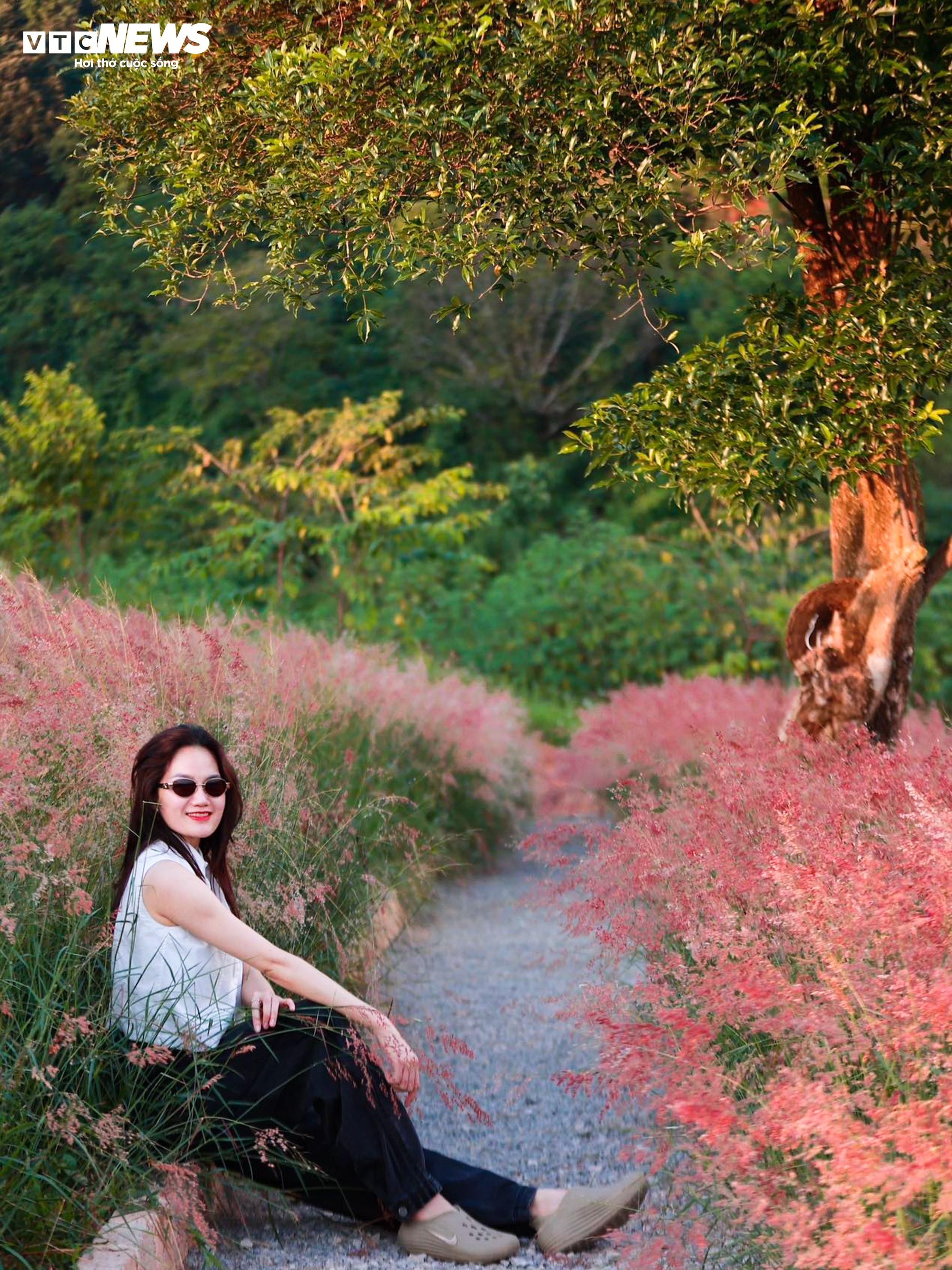 Đồi cỏ hồng như phim Hàn giữa cao nguyên Mộc Châu- Ảnh 9.