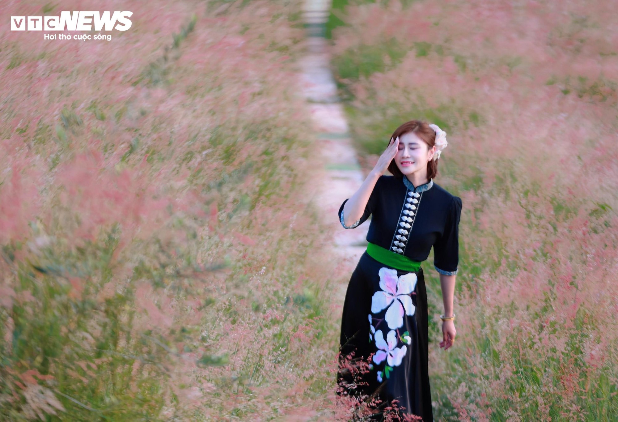 Đồi cỏ hồng như phim Hàn giữa cao nguyên Mộc Châu- Ảnh 10.