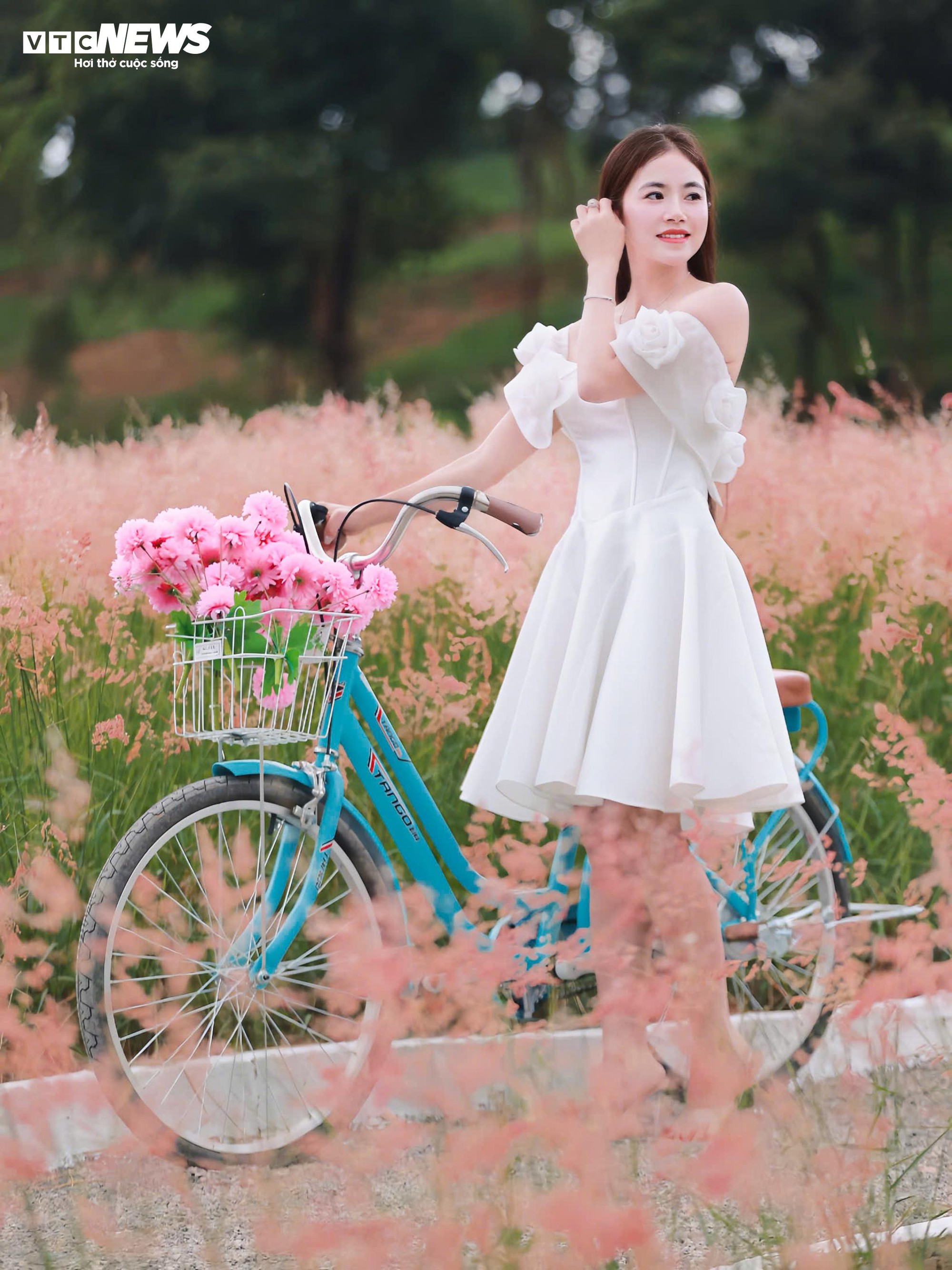 Đồi cỏ hồng như phim Hàn giữa cao nguyên Mộc Châu- Ảnh 6.