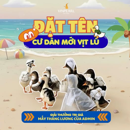 17 con vịt bị lũ cuốn trôi vào resort của ông Phạm Nhật Vượng: Vinpearl Nha Trang tổ chức thi đặt tên, thưởng 17 cặp vé- Ảnh 2.