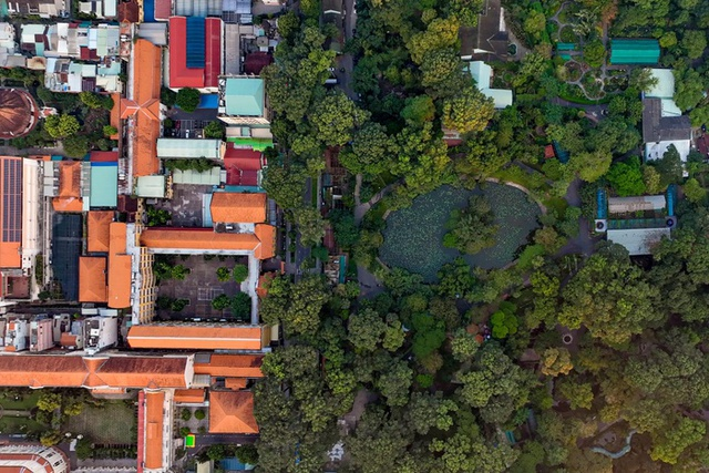 Từng là bệnh viện, ngôi trường này giờ siêu hot tại TP.HCM: Kiến trúc đẹp miễn chê, giơ máy lên là có ảnh đẹp- Ảnh 8. Từng là bệnh viện, ngôi trường này giờ siêu hot tại TP.HCM: Kiến trúc đẹp miễn chê, giơ máy lên là có ảnh đẹp- Ảnh 8.