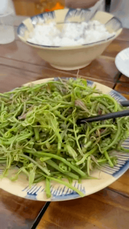 Loại rau được người miền Tây coi như "thần dược", vừa "bén mồi" vừa tốt cho sức khỏe- Ảnh 5.