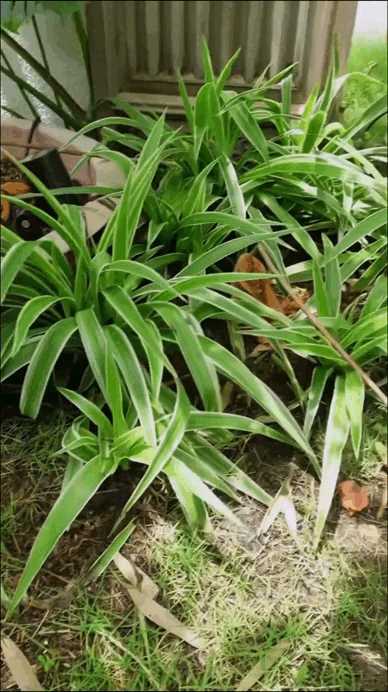 Penthouse của diva Hồng Nhung- Ảnh 6.