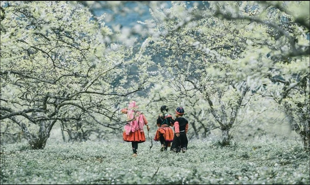 Sánh vai Mỹ và UAE, Việt Nam bất ngờ lọt top 16 điểm đến mùa đông lý tưởng nhất thế giới 2025–2026- Ảnh 6.