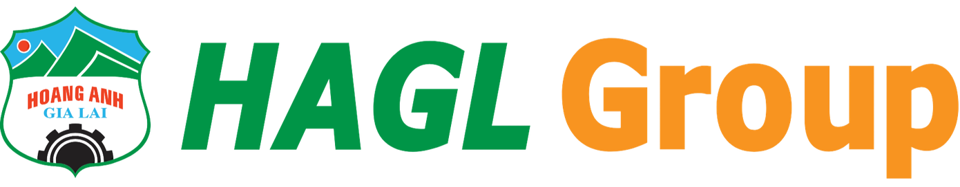 Doanh nghiệp của bầu Đức thay đổi- Ảnh 3.