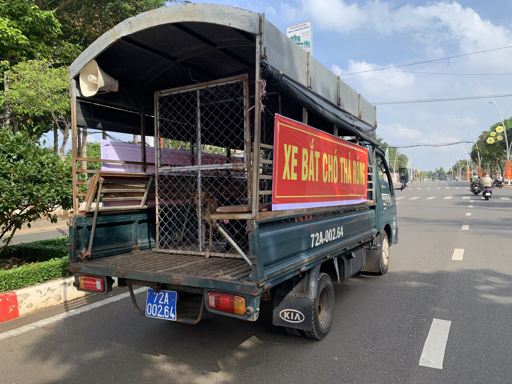 Siết chặt quản lý chó thả rong - Ảnh 2.