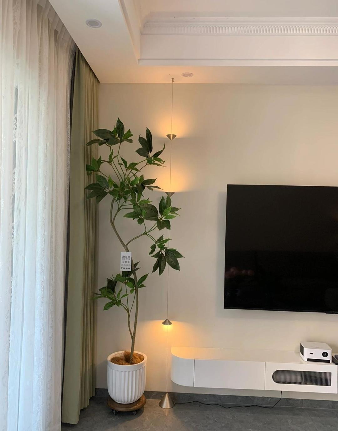 5 vị trí KHÔNG NÊN trồng cây trong nhà kẻo xui xẻo tìm đến, rước họa vào thân- Ảnh 4. 5 vị trí KHÔNG NÊN trồng cây trong nhà kẻo xui xẻo tìm đến, rước họa vào thân- Ảnh 4.