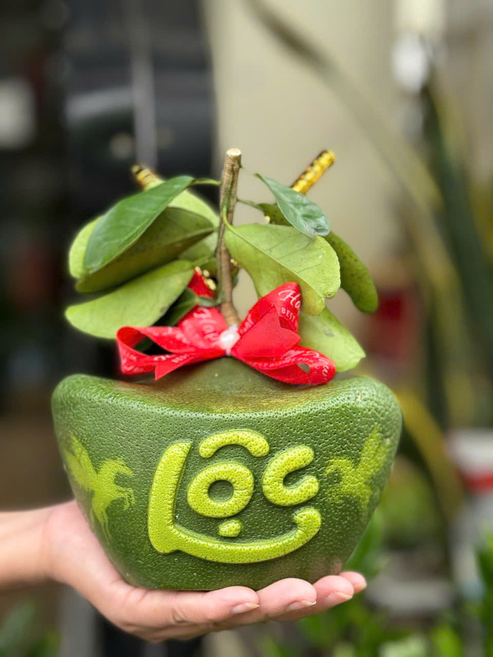 - Ảnh 3. - Ảnh 3.