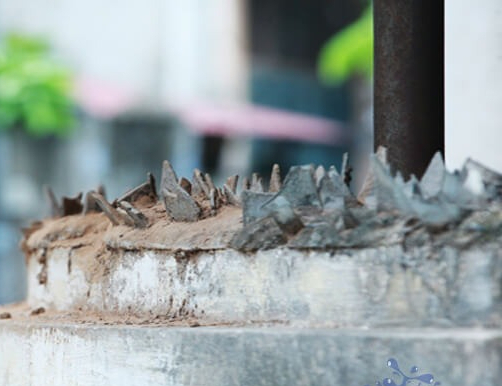 Bức ảnh cách "ông bà ta" chống trộm hút 100.000 views, con cháu bình luận: Quá "vuýp"! - Ảnh 5.