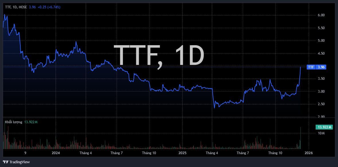 "Vua gỗ" một thời bất ngờ hồi sinh giữa lúc VN-Index điều chỉnh mạnh- Ảnh 1.