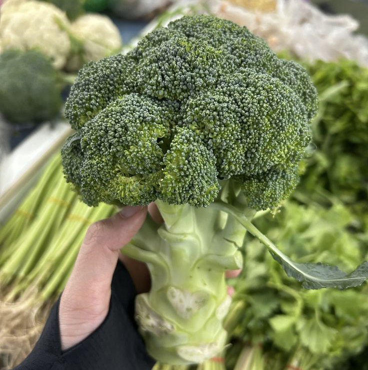Đến giờ tôi mới biết 2 thứ này trên bông cải xanh chống ung thư gấp 100 lần phần bông! "Tiếc hùi hụi" vì toàn vứt bỏ - Ảnh 1.