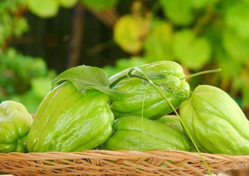 Đến mùa đông là phải ăn loại rau được cho là chứa lượng selen ‘gấp 50 lần hành tây’, chị em đổ xô mua vì nhiều lợi ích không ngờ- Ảnh 1.