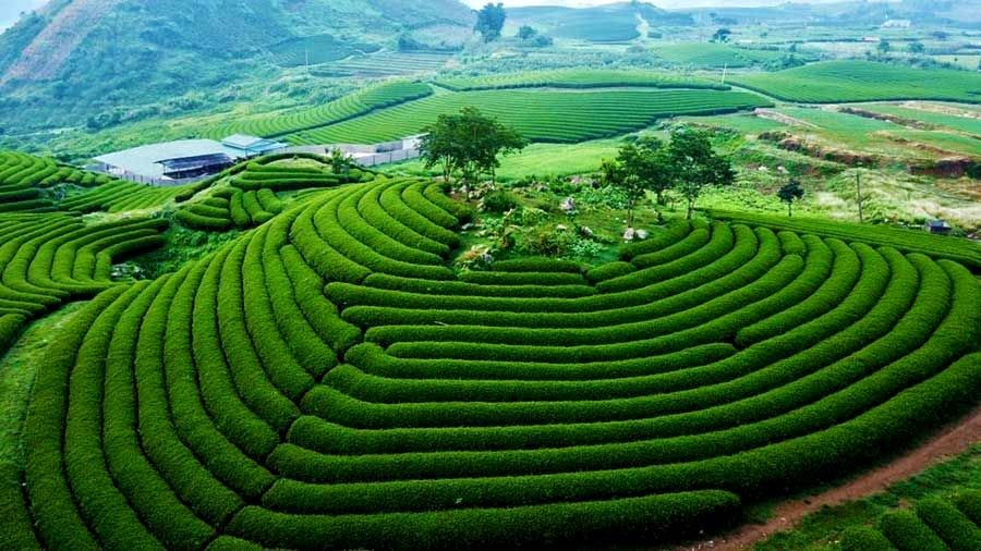 Việt Nam có 1 nơi được Giải thưởng Du lịch Thế giới gọi tên tới 3 lần: Đang mùa hoa mận phủ trắng đồi, “viên ngọc quý” giữa lòng Tây Bắc - Ảnh 4. Việt Nam có 1 nơi được Giải thưởng Du lịch Thế giới gọi tên tới 3 lần: Đang mùa hoa mận phủ trắng đồi, “viên ngọc quý” giữa lòng Tây Bắc - Ảnh 4.