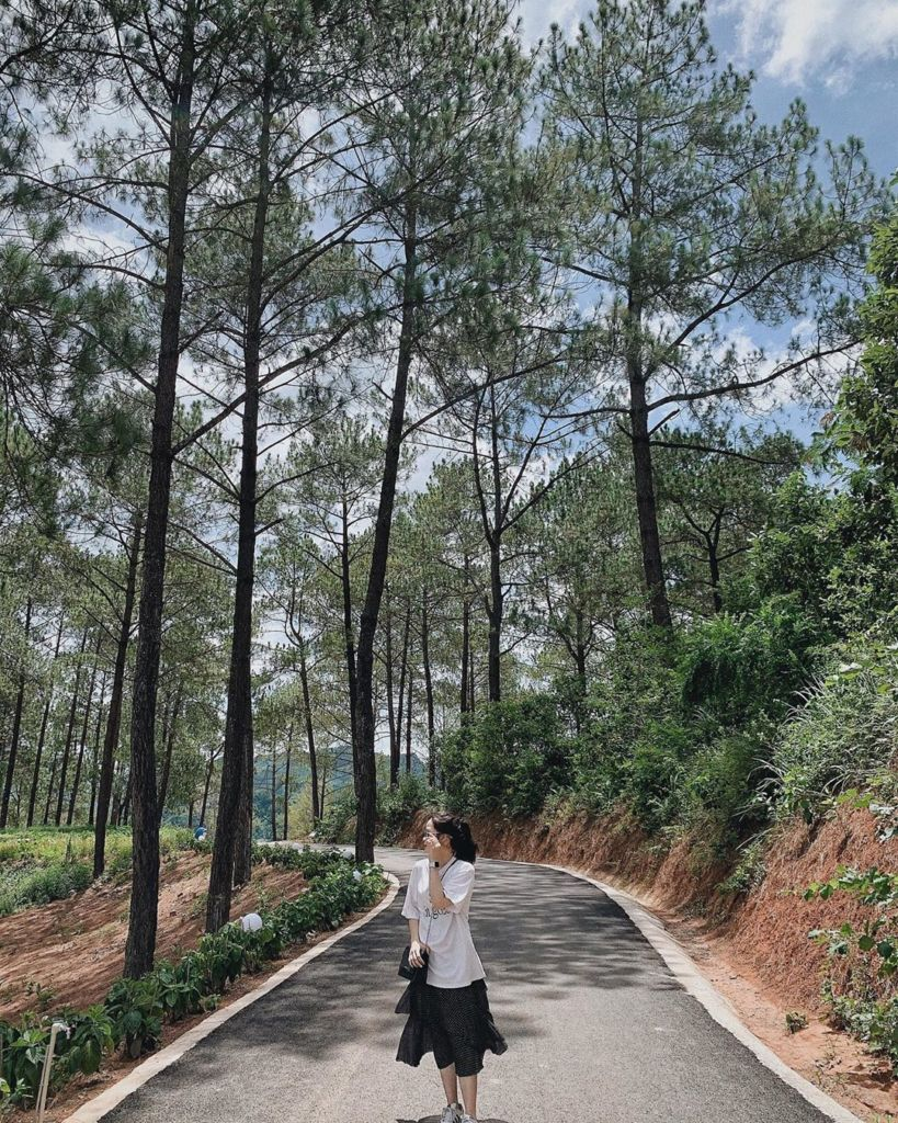 Việt Nam có 1 nơi được Giải thưởng Du lịch Thế giới gọi tên tới 3 lần: Đang mùa hoa mận phủ trắng đồi, “viên ngọc quý” giữa lòng Tây Bắc - Ảnh 3. Việt Nam có 1 nơi được Giải thưởng Du lịch Thế giới gọi tên tới 3 lần: Đang mùa hoa mận phủ trắng đồi, “viên ngọc quý” giữa lòng Tây Bắc - Ảnh 3.