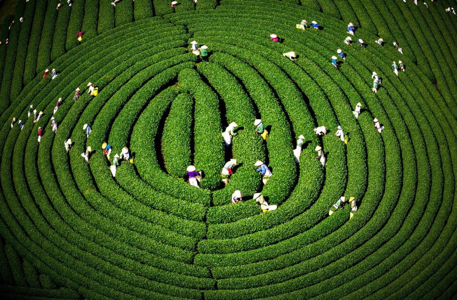 Việt Nam có 1 nơi được Giải thưởng Du lịch Thế giới gọi tên tới 3 lần: Đang mùa hoa mận phủ trắng đồi, “viên ngọc quý” giữa lòng Tây Bắc - Ảnh 1. Việt Nam có 1 nơi được Giải thưởng Du lịch Thế giới gọi tên tới 3 lần: Đang mùa hoa mận phủ trắng đồi, “viên ngọc quý” giữa lòng Tây Bắc - Ảnh 1.