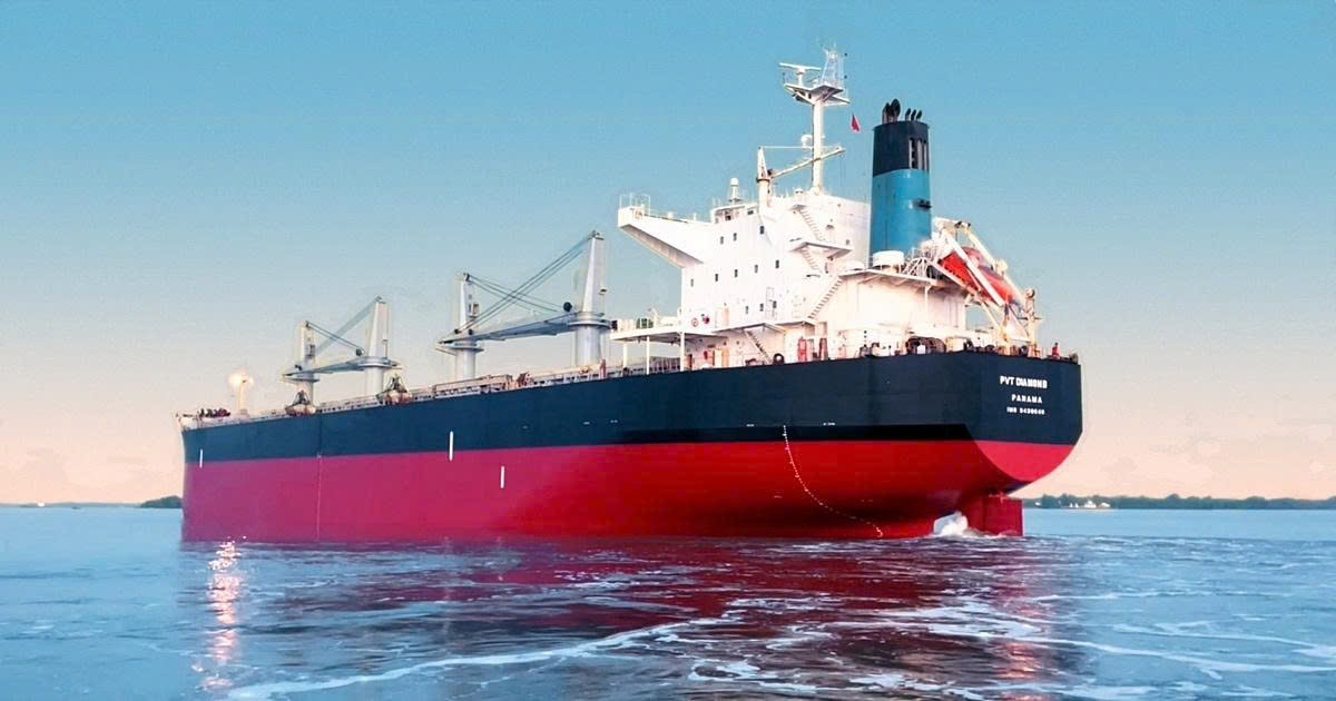 PVT Logistics hoàn tất phát hành hơn 13 triệu cổ phiếu trả cổ tức cho 1.400 cổ đông - Ảnh 1.