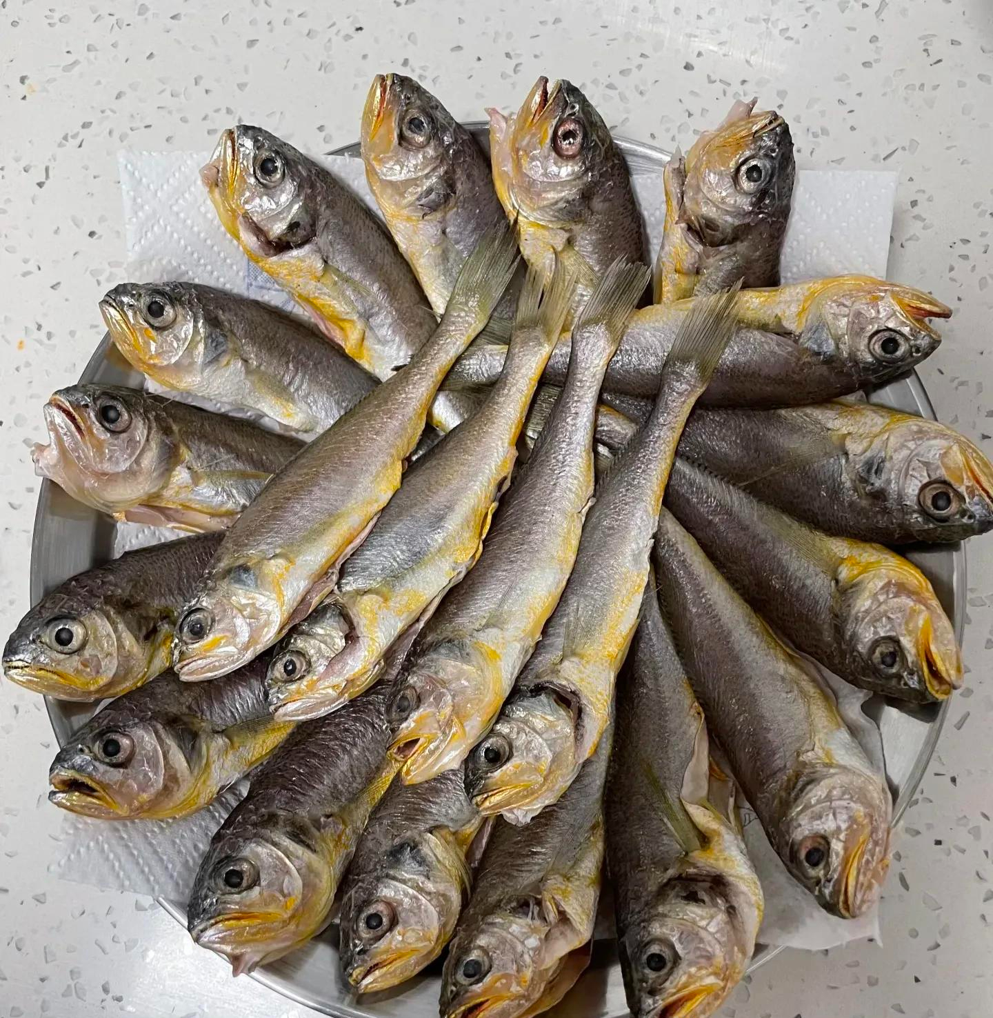 Chọn ngay 3 loại "hải sản quốc dân" này, đảm bảo sạch 100%, thịt ngọt lừ, trẻ con người già ăn đều tốt - Ảnh 3. Chọn ngay 3 loại "hải sản quốc dân" này, đảm bảo sạch 100%, thịt ngọt lừ, trẻ con người già ăn đều tốt - Ảnh 3.