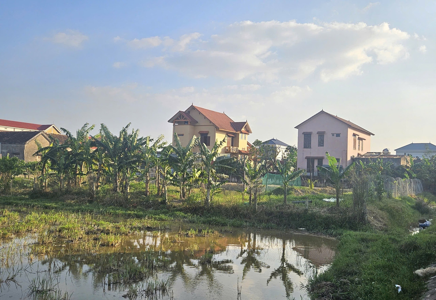 Quảng Trị: Sẽ thu hồi 1.500m² đất cho gia đình nguyên bí thư phường thuê 500.000 đồng/năm- Ảnh 1.