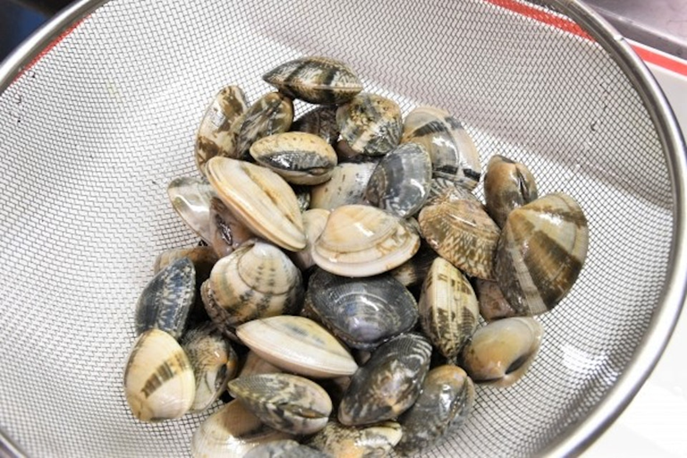 Tại sao ngao ốc đã nhả hết cát nên chờ thêm 30 phút rồi mới nấu?- Ảnh 2.