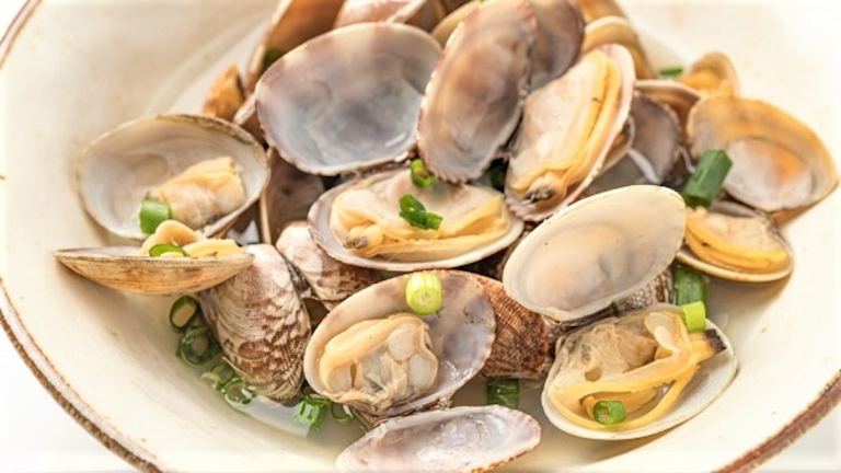 Tại sao ngao ốc đã nhả hết cát nên chờ thêm 30 phút rồi mới nấu?- Ảnh 3.