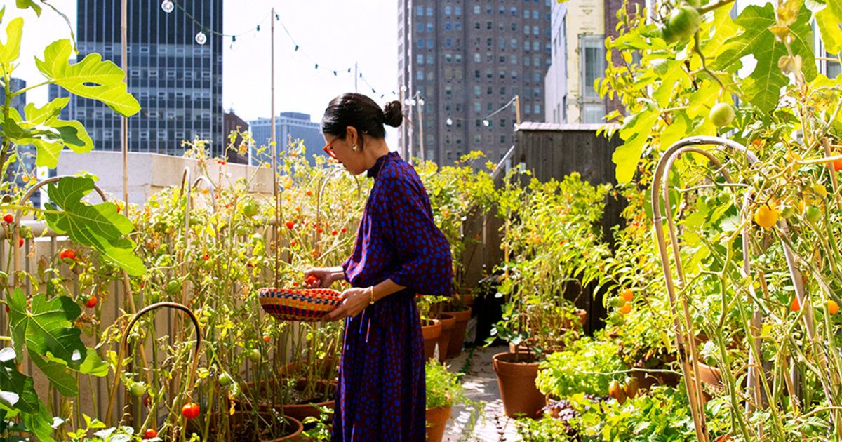 Ở tuổi 50, tôi cắt 7 khoản tưởng nhỏ mà ngốn tiền - sống nhàn hơn hẳn, dư tiền dưỡng già- Ảnh 1. Ở tuổi 50, tôi cắt 7 khoản tưởng nhỏ mà ngốn tiền - sống nhàn hơn hẳn, dư tiền dưỡng già- Ảnh 1.