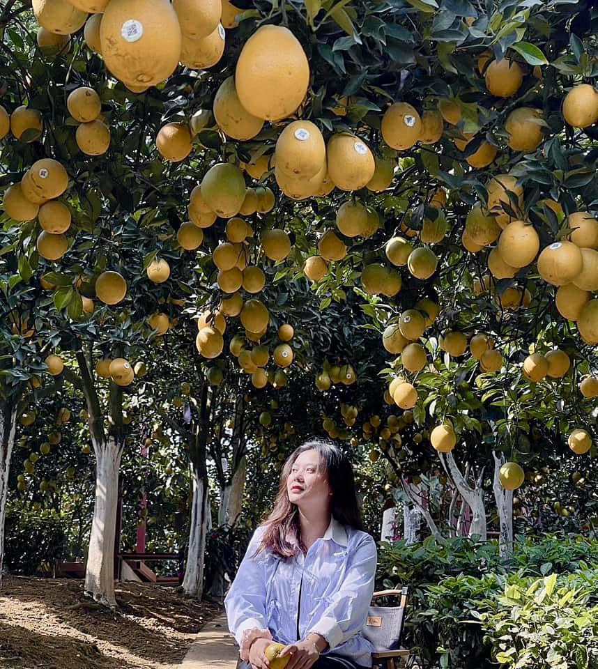 Điểm miền núi phía Bắc nhiều người đang rủ nhau đi: Càng cuối năm càng đông, có đặc sản "hiếm" ở Việt Nam - Ảnh 9.