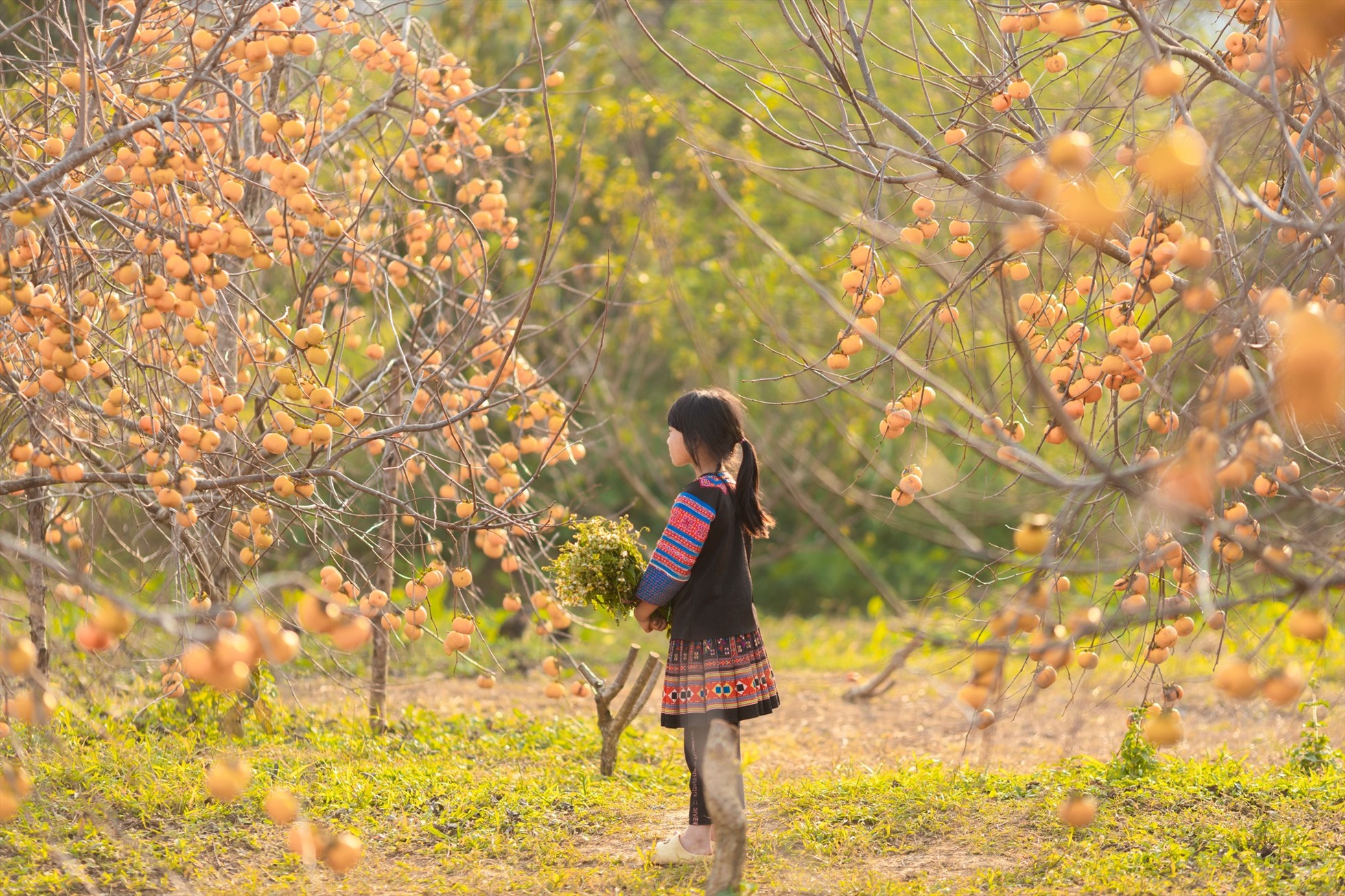Điểm miền núi phía Bắc nhiều người đang rủ nhau đi: Càng cuối năm càng đông, có đặc sản "hiếm" ở Việt Nam - Ảnh 3.