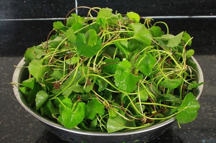 5 loại rau sống dễ “ôm ổ ký sinh trùng”, hay ăn lẩu và gỏi càng nguy hiểm- Ảnh 4.