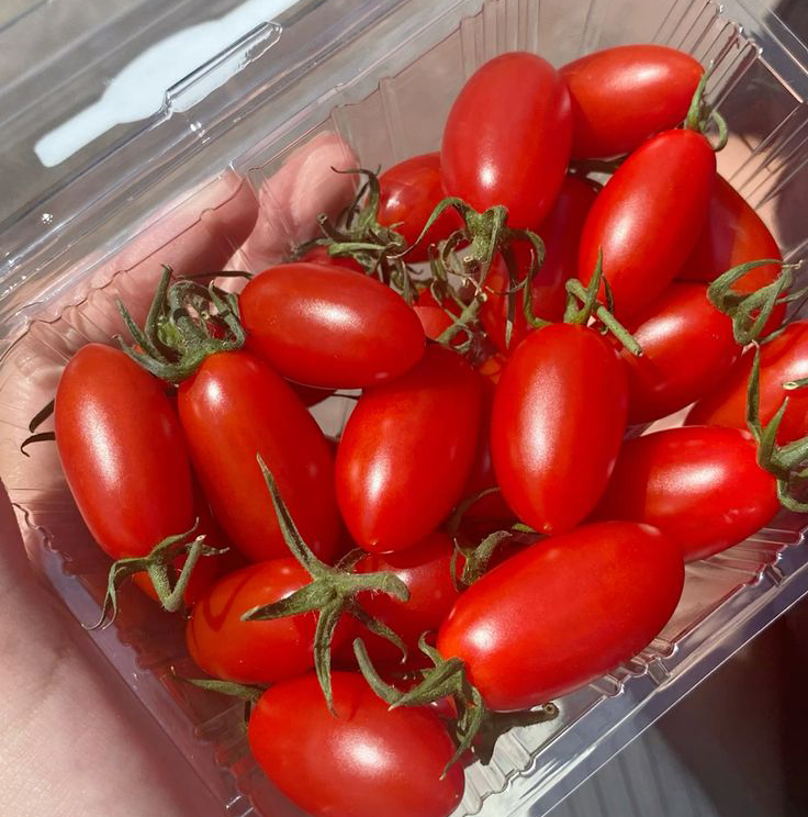 Top 10 thực phẩm làm chậm lão hóa da được các bác sĩ Nhật khen ngợi: Toàn món “khoái khẩu” của người Việt - Ảnh 3.