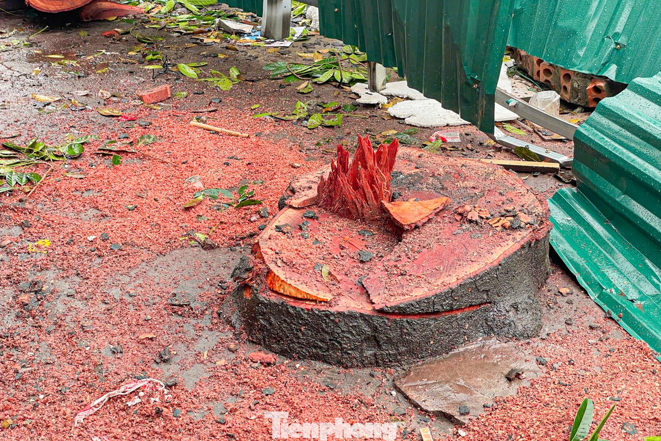 Dự án đường Vành đai 1 đoạn Hoàng Cầu - Voi Phục 'thần tốc' giải phóng mặt bằng- Ảnh 29.