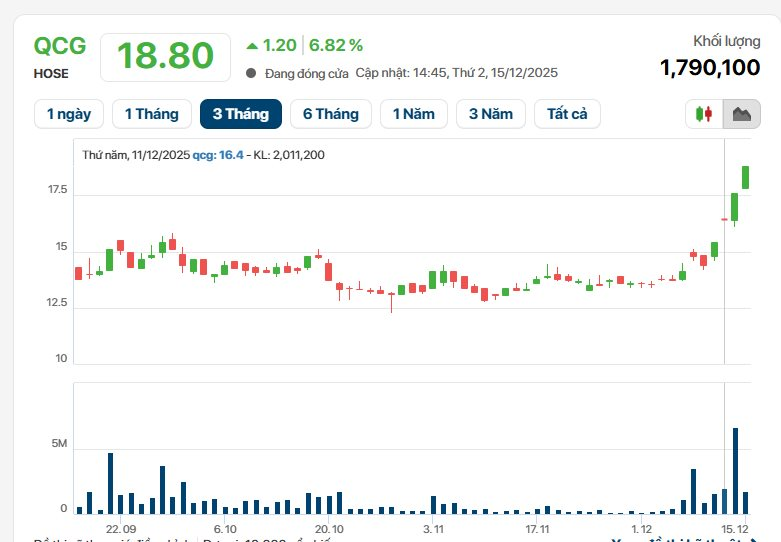 Bộ Công an đề nghị truy tố cựu Chủ tịch QCGL Nguyễn Thị Như Loan, cổ phiếu QCG vừa tăng trần 4 phiên liên tiếp- Ảnh 2.