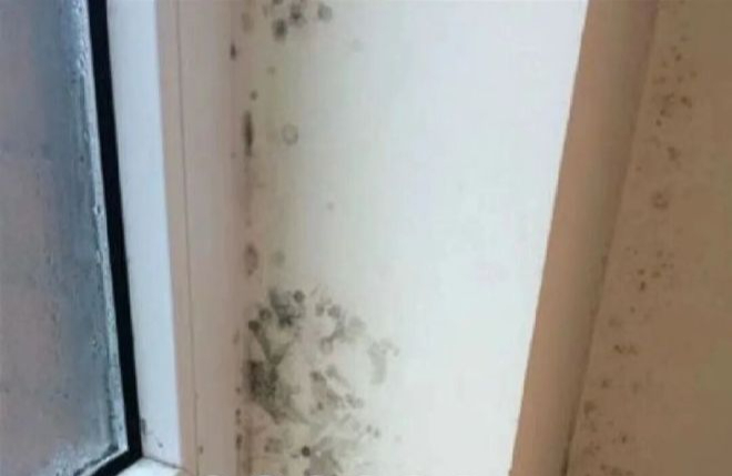 Ba năm sống trong căn góc và cú vỡ mộng lớn: Tôi đã đánh đổi quá nhiều chỉ vì một quyết định khi mua nhà- Ảnh 3.