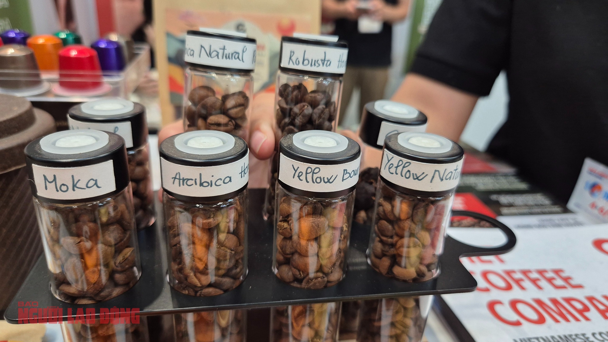 Giá cà phê hôm nay 15 - 12: Xu hướng giảm giá và dự báo từ ông trùm cà phê - Ảnh 2. Giá cà phê hôm nay 15 - 12: Xu hướng giảm giá và dự báo từ ông trùm cà phê - Ảnh 2.