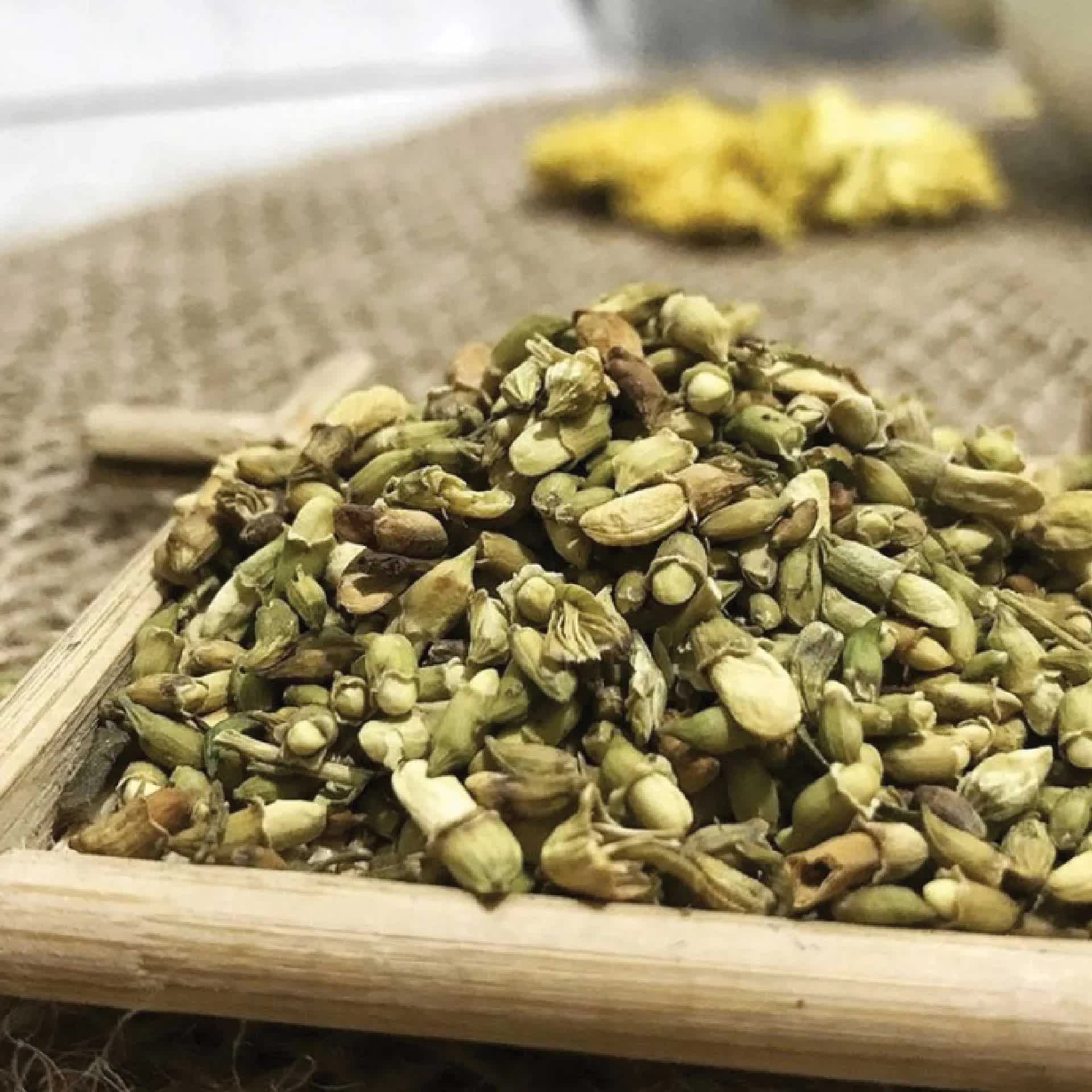 Loại cây tượng trưng cho may mắn và tài lộc, trồng trong nhà còn có được vị thuốc trị "bách bệnh"- Ảnh 2.