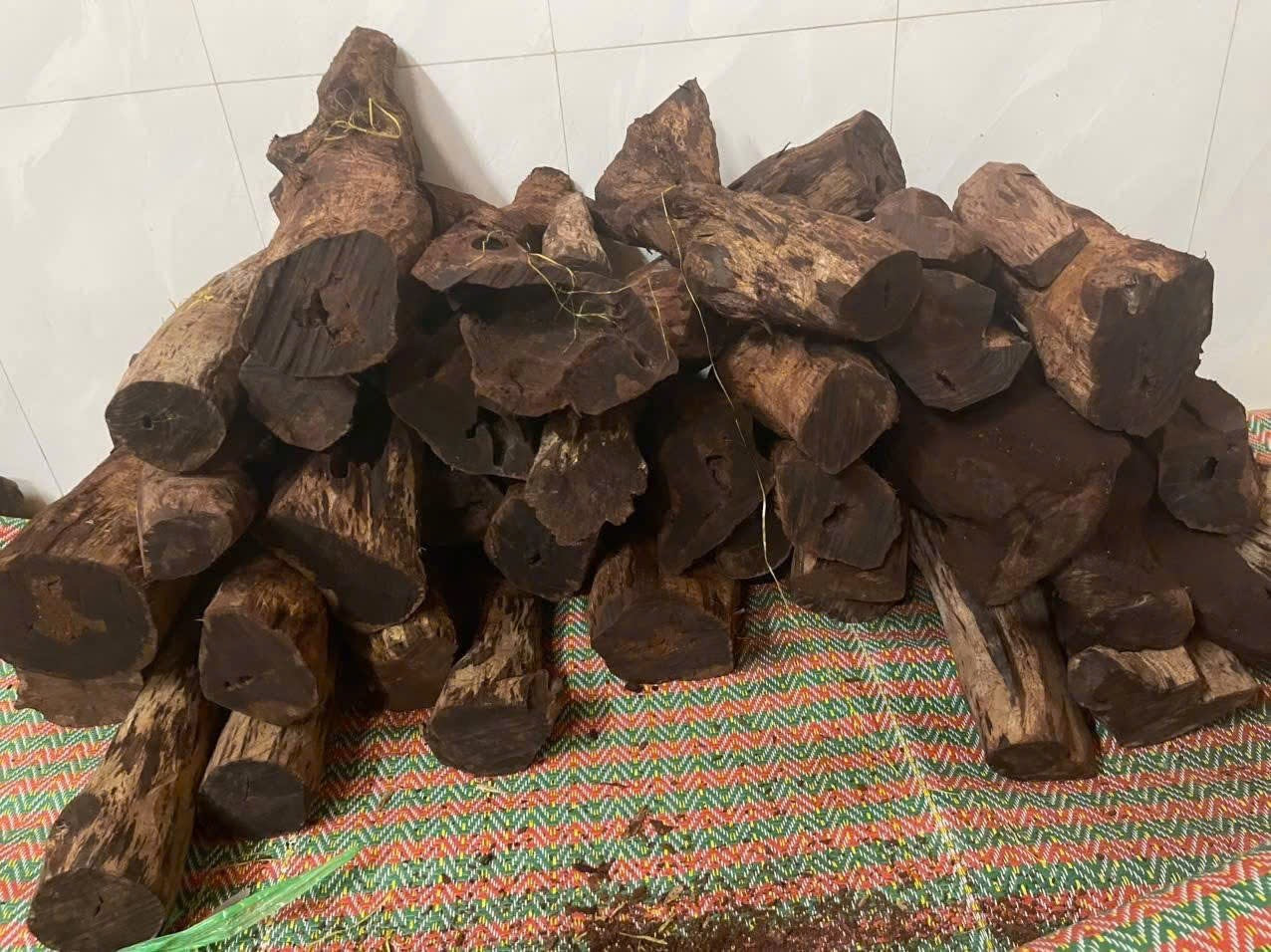 Cây gỗ tại Việt Nam được thương lái Trung Quốc mua giá cao bất thường, một địa phương phải ra cảnh báo - Ảnh 1.