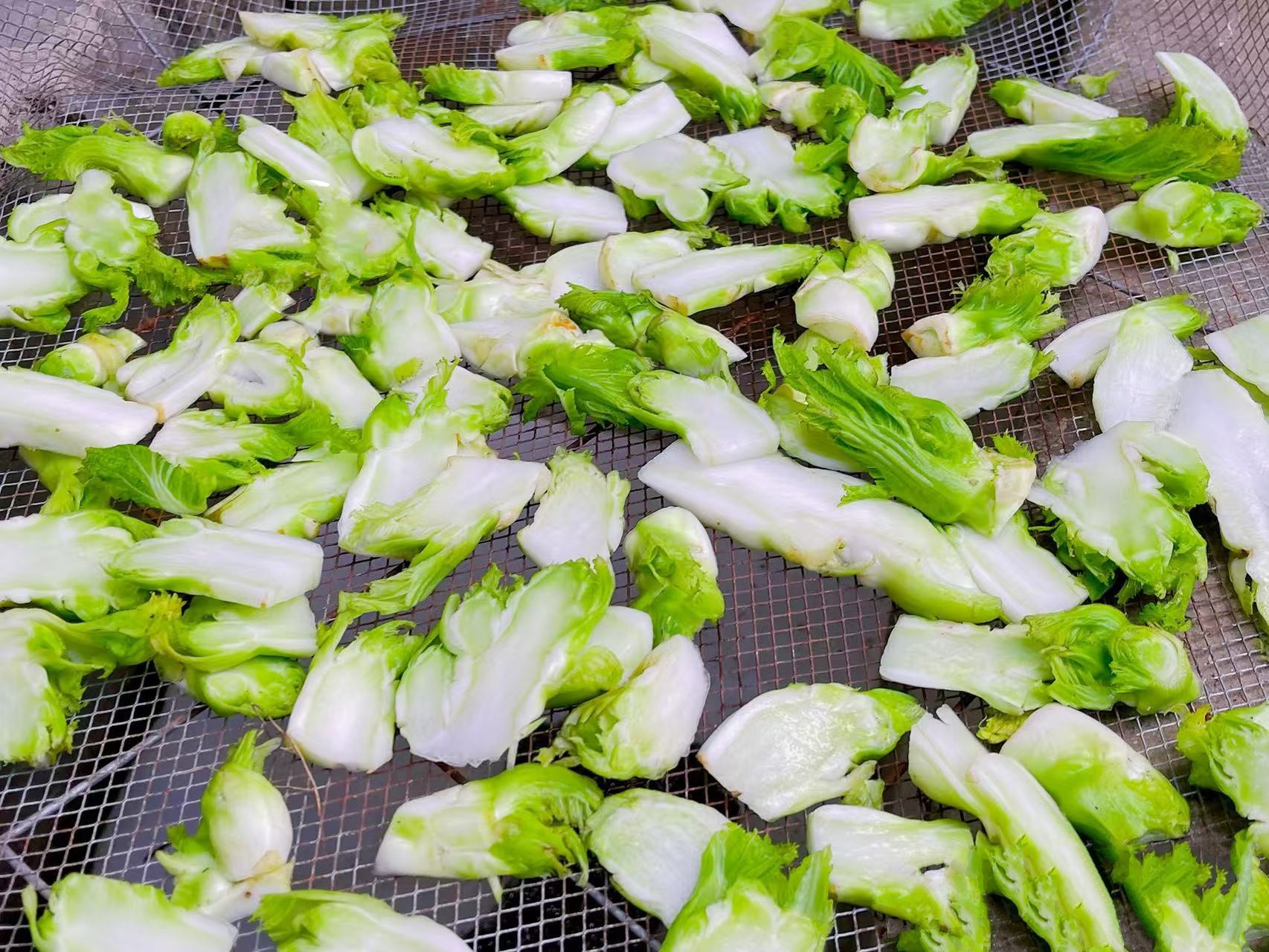 Loại rau "vua giải nhiệt" mùa đông: Mua về phơi khô, Tết lôi ra xào tóp mỡ thì thịt cá cũng "ra rìa" - Ảnh 3. Loại rau "vua giải nhiệt" mùa đông: Mua về phơi khô, Tết lôi ra xào tóp mỡ thì thịt cá cũng "ra rìa" - Ảnh 3.