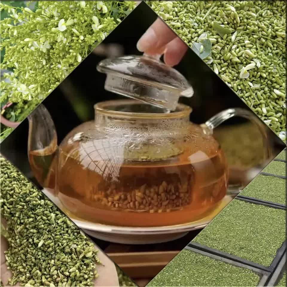 Loại cây tượng trưng cho may mắn và tài lộc, trồng trong nhà còn có được vị thuốc trị "bách bệnh"- Ảnh 3.