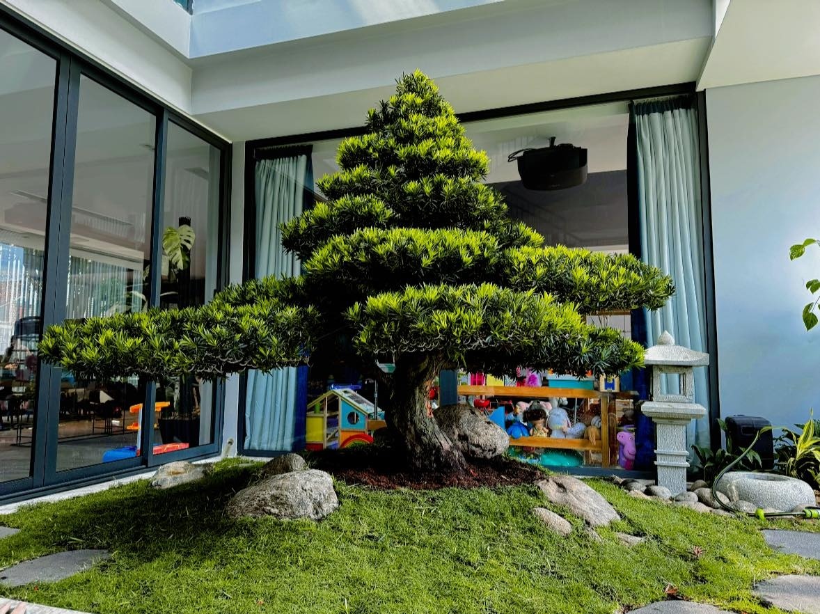 Thú vui của Cường Đô La- Ảnh 8. Thú vui của Cường Đô La- Ảnh 8.