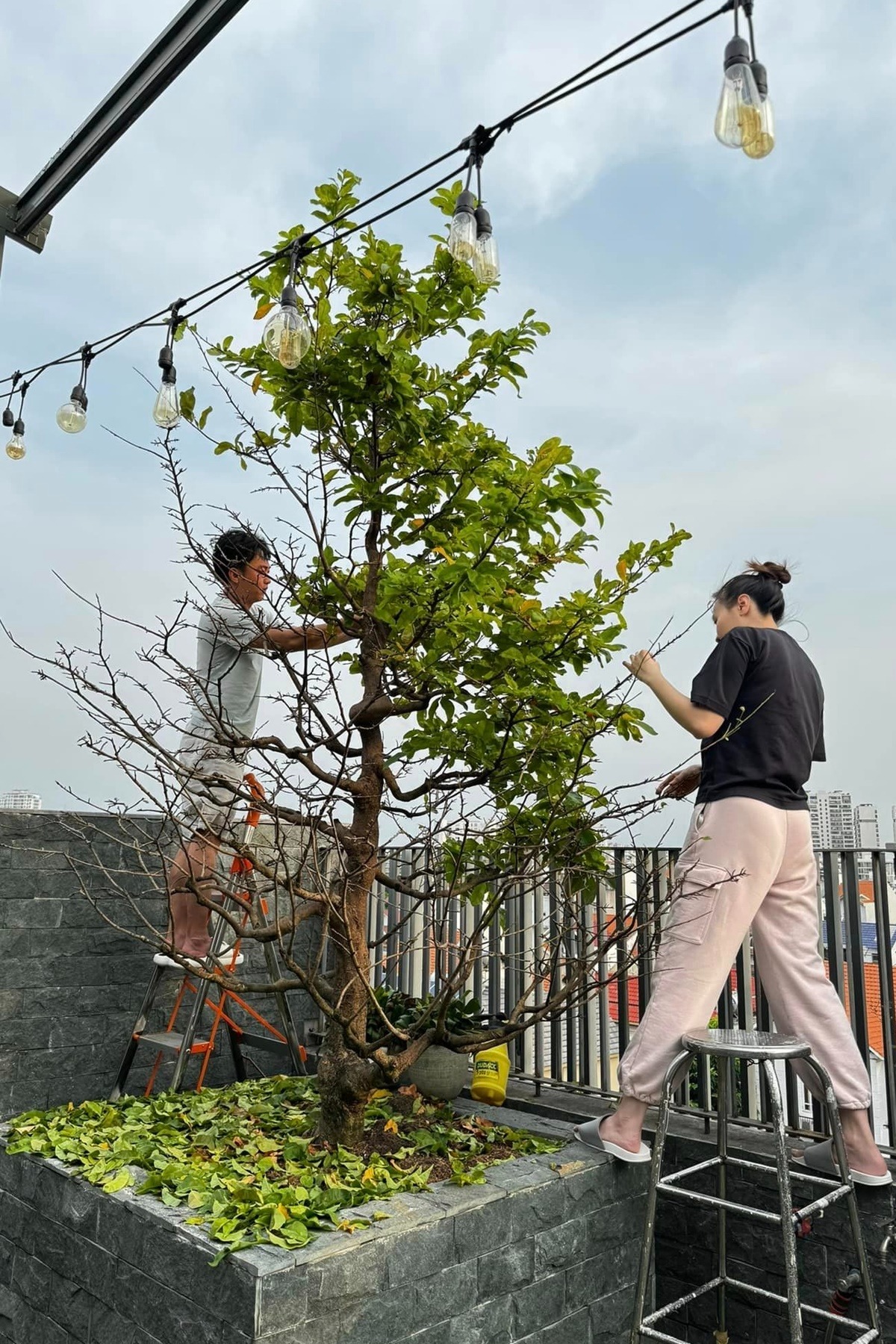 Thú vui của Cường Đô La- Ảnh 6. Thú vui của Cường Đô La- Ảnh 6.