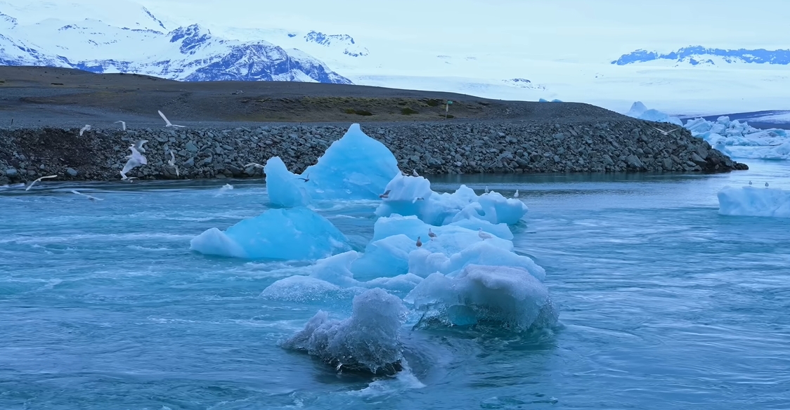 Khoai Lang Thang đã đến mức độ này rồi hả?- Ảnh 2. Khoai Lang Thang đã đến mức độ này rồi hả?- Ảnh 2.