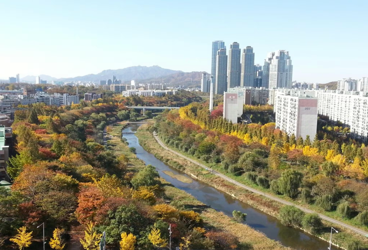 Từ cống rãnh đến dòng chảy xanh: Câu chuyện hồi sinh sông suối ở Hàn Quốc- Ảnh 3.