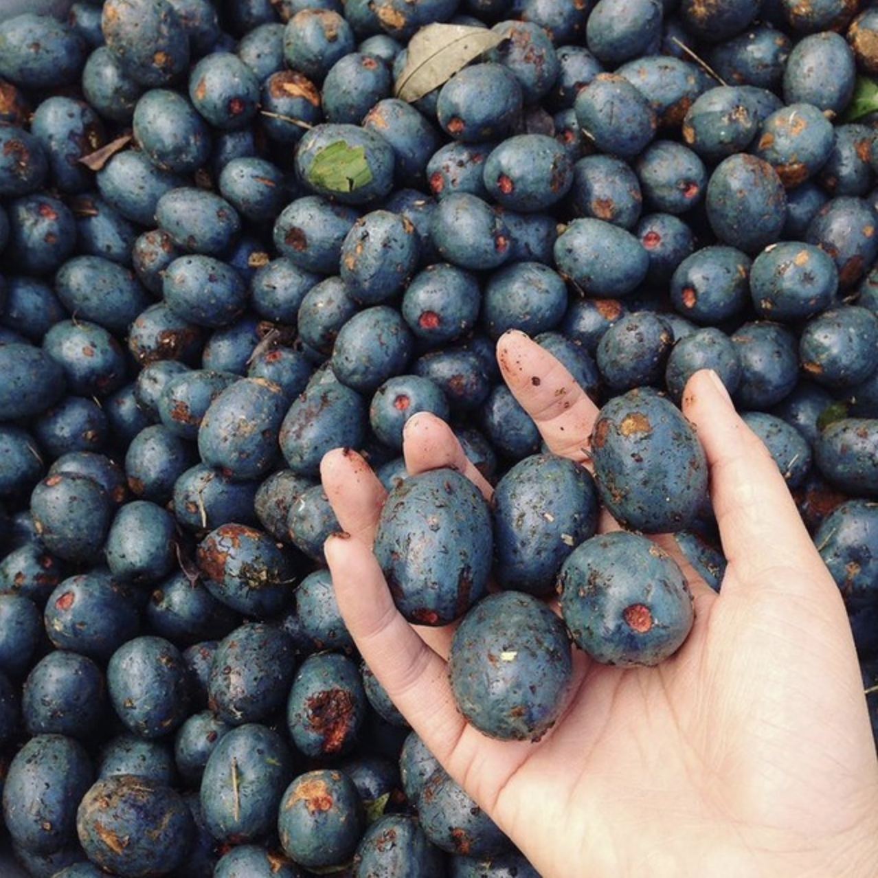 Trend kì cục: Tranh nhau mua nhưng ăn xong ai cũng "nổi đoá"- Ảnh 1. Trend kì cục: Tranh nhau mua nhưng ăn xong ai cũng "nổi đoá"- Ảnh 1.