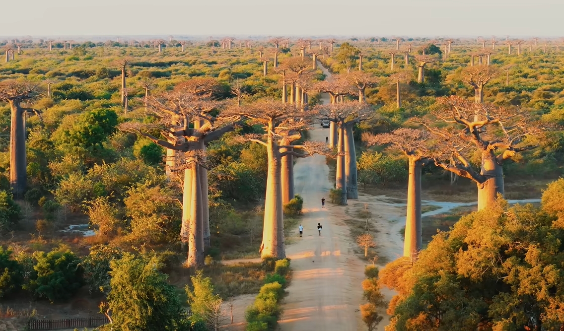 Khoai Lang Thang đã đến mức độ này rồi hả?- Ảnh 9. Khoai Lang Thang đã đến mức độ này rồi hả?- Ảnh 9.