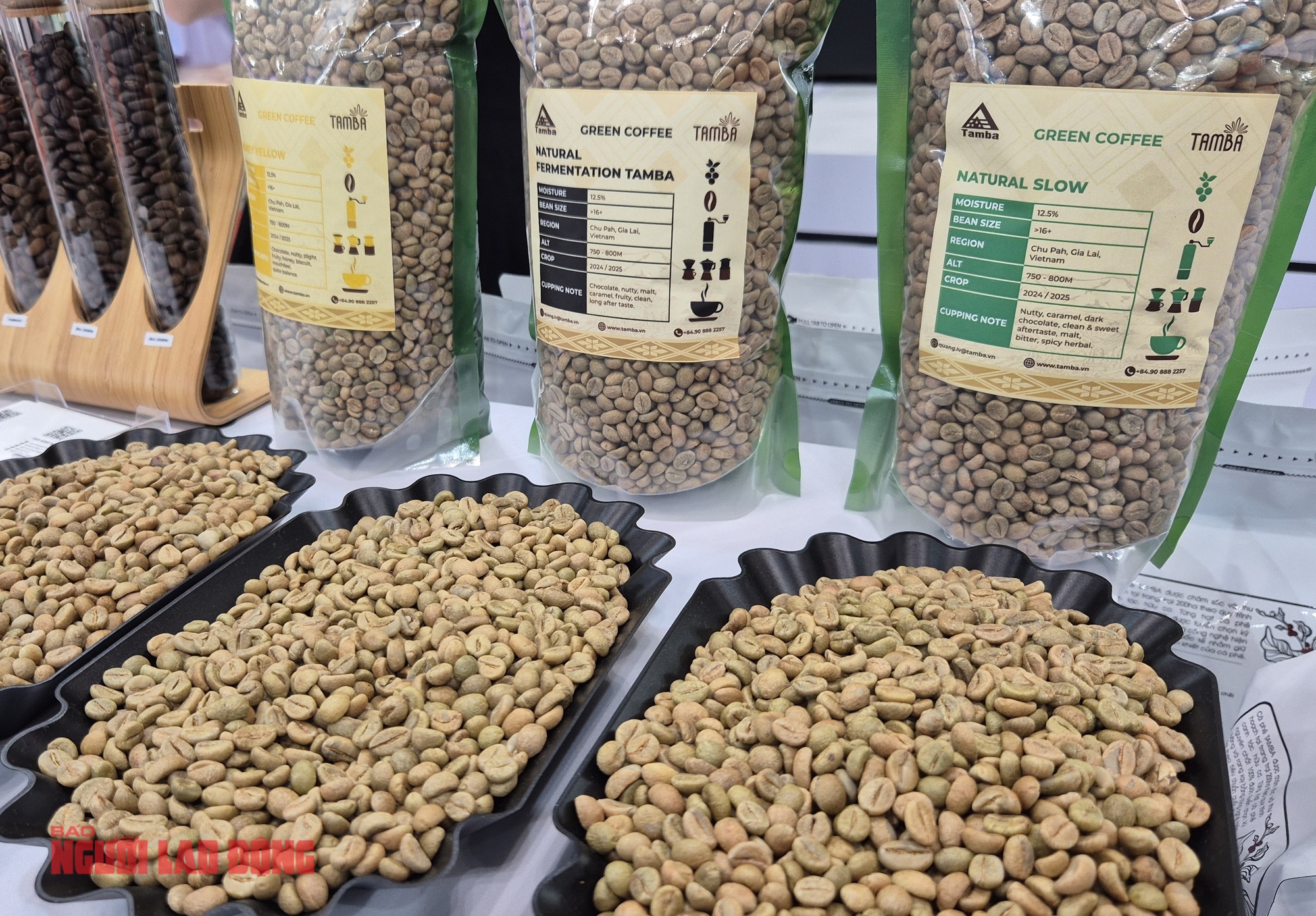 Giá cà phê hôm nay 16 - 12: Đức chi hơn 1 tỉ USD nhập cà phê Việt - Ảnh 2. Giá cà phê hôm nay 16 - 12: Đức chi hơn 1 tỉ USD nhập cà phê Việt - Ảnh 2.