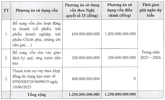 Chứng khoán Bảo Minh sử dụng 1.250 tỷ đồng từ đợt chào bán cổ phiếu riêng lẻ như thế nào? - Ảnh 1.