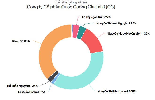 Đứt chuỗi 4 phiên trần, cổ phiếu QCG quay đầu giảm sàn- Ảnh 2.