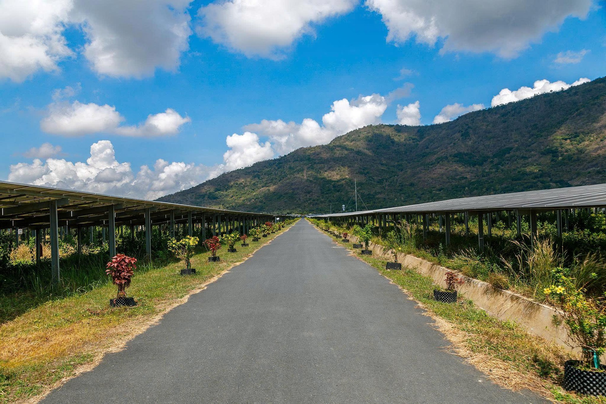 Điện sạch và quyền lợi cộng đồng: câu chuyện công bằng và sức khỏe - Ảnh 1. Điện sạch và quyền lợi cộng đồng: câu chuyện công bằng và sức khỏe - Ảnh 1.